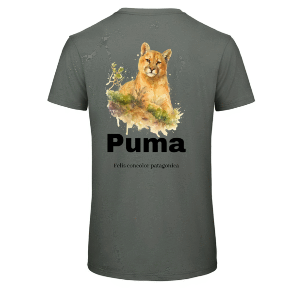 Polera B&C INSPIRE Puma Chileno SH#35