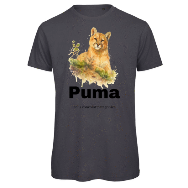 Polera B&C INSPIRE Puma Chileno SH#35