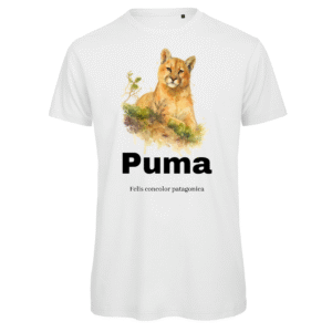 Polera B&C INSPIRE Puma Chileno SH#35