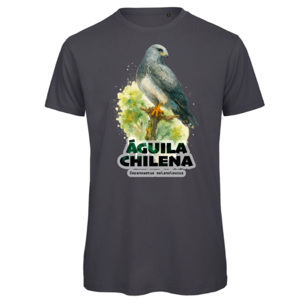 Polera Unisex Inspire Águila Chilena SH#0036