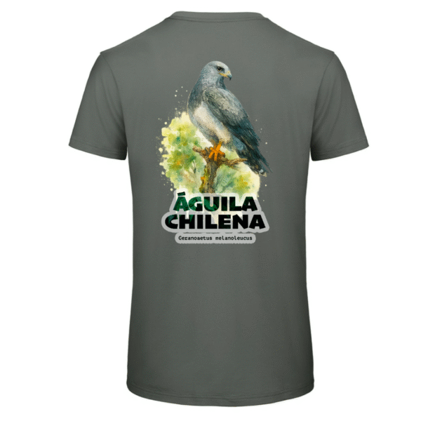 Polera Unisex Inspire Águila Chilena SH#0036
