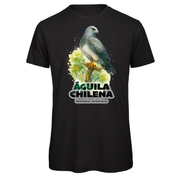 Polera Unisex Inspire Águila Chilena SH#0036