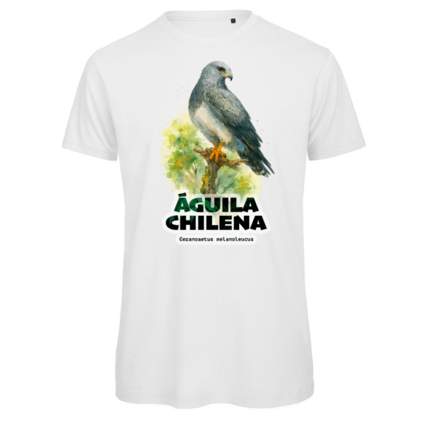 Polera Unisex Inspire Águila Chilena SH#0036